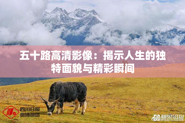 五十路高清影像：揭示人生的独特面貌与精彩瞬间