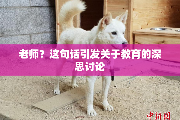 老师？这句话引发关于教育的深思讨论