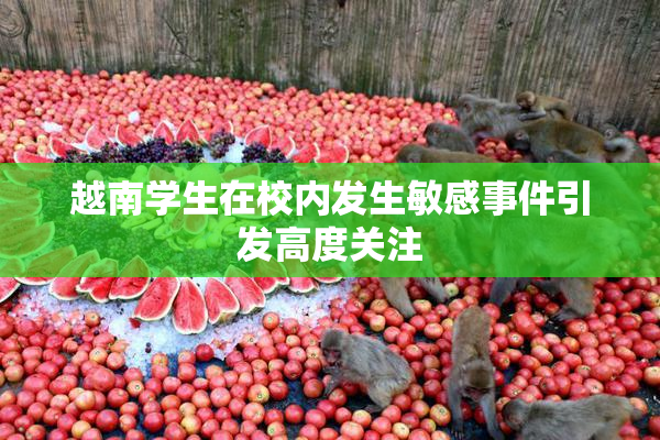 越南学生在校内发生敏感事件引发高度关注