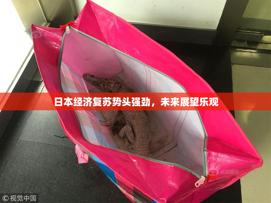 日本经济复苏势头强劲，未来展望乐观