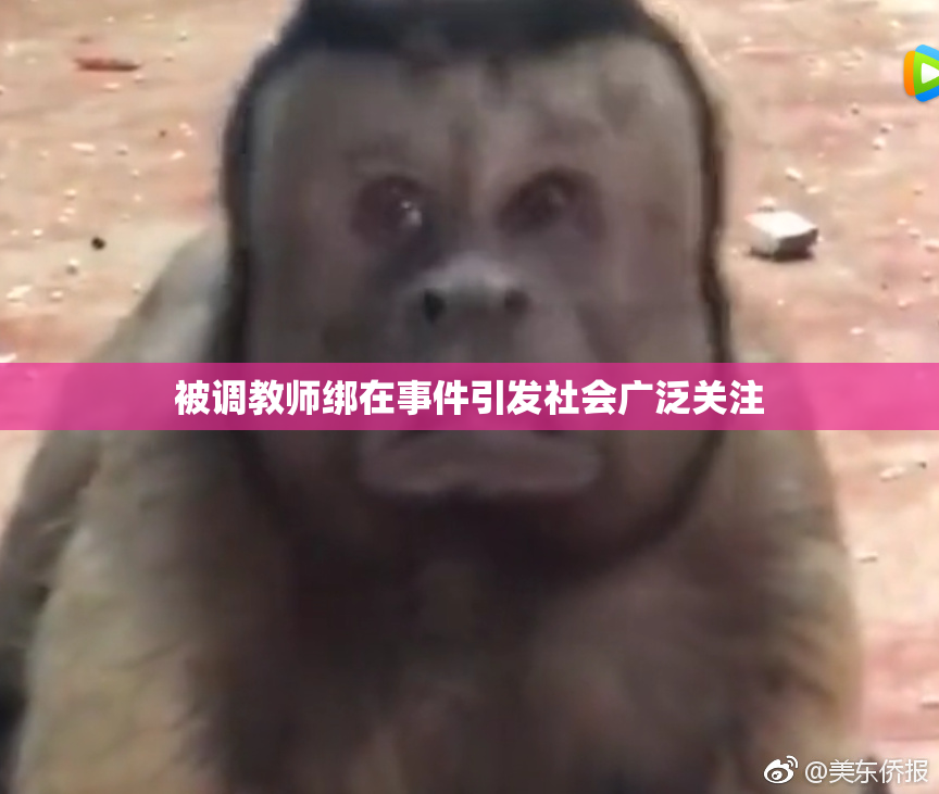 被调教师绑在事件引发社会广泛关注