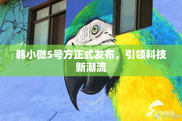 韩小微5号方正式发布，引领科技新潮流