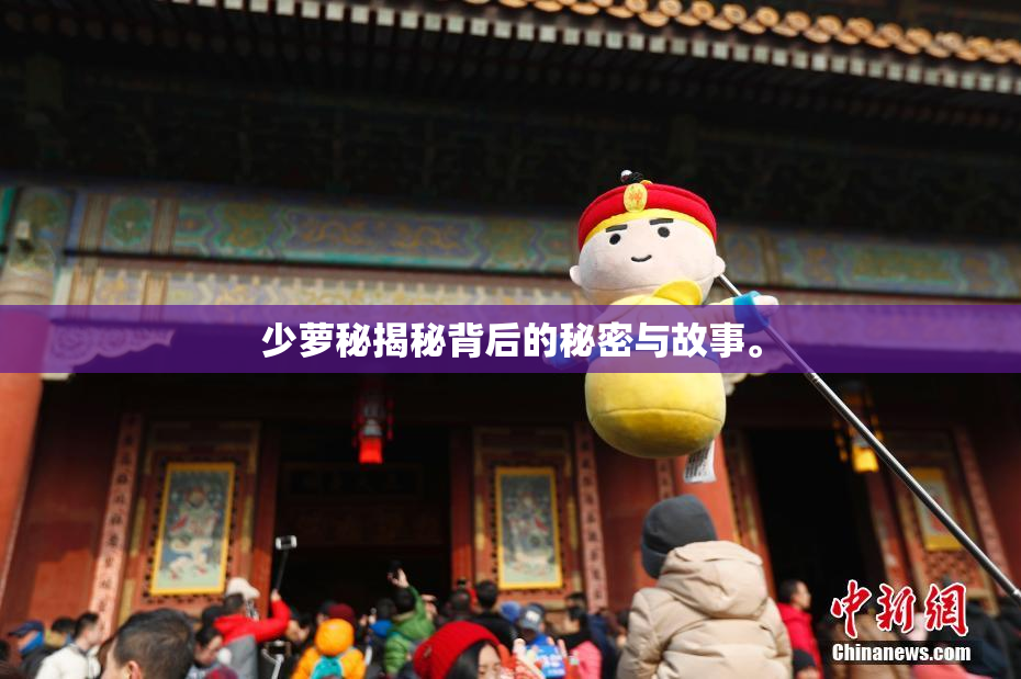 少萝秘揭秘背后的秘密与故事。