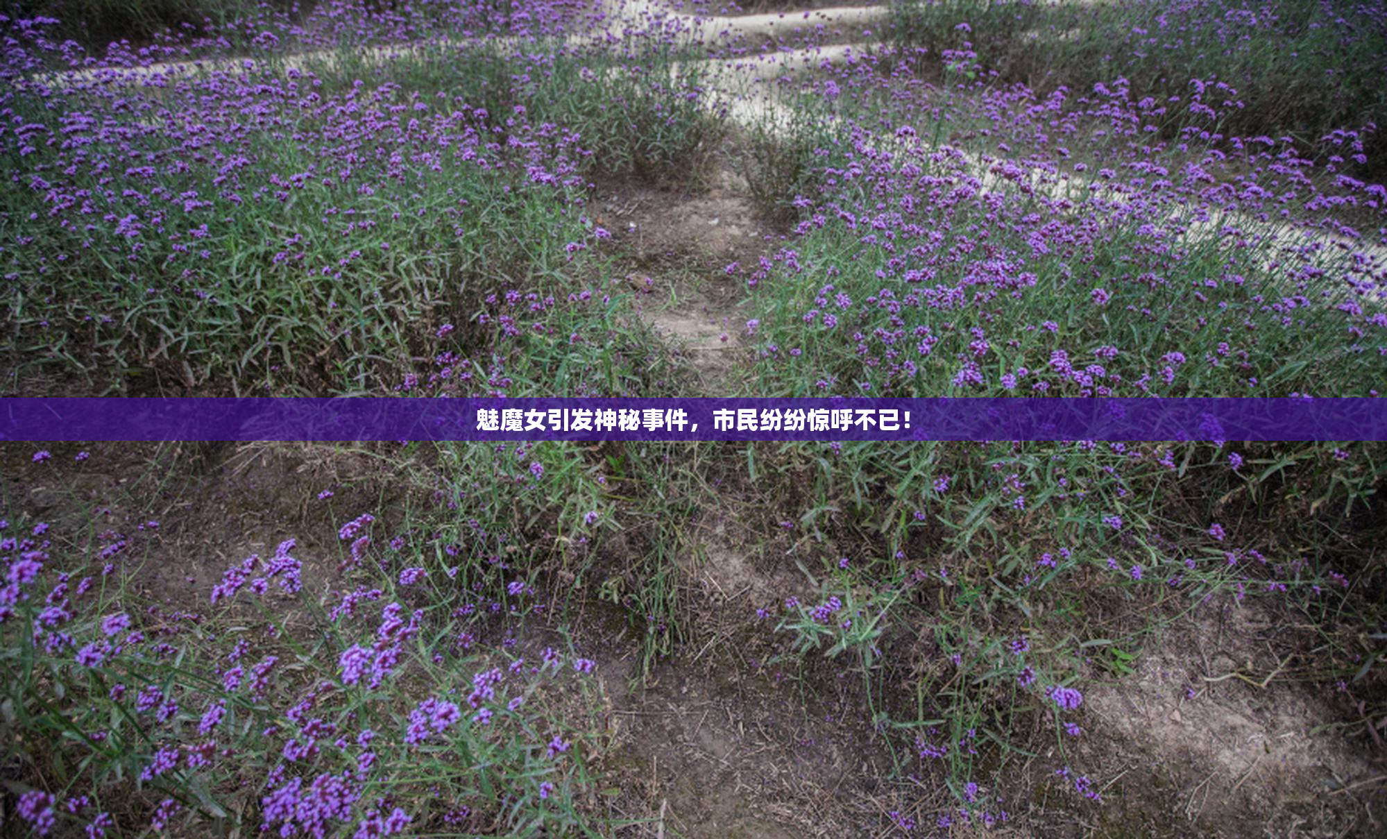 魅魔女引发神秘事件，市民纷纷惊呼不已！