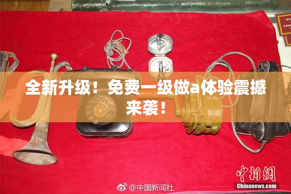 全新升级！免费一级做a体验震撼来袭！