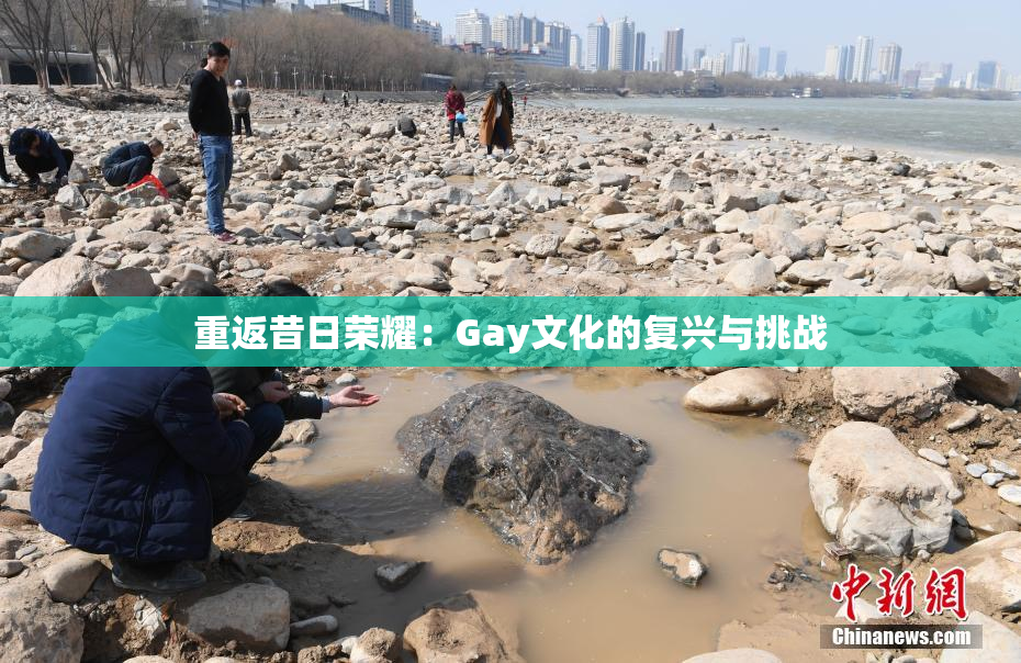 重返昔日荣耀：Gay文化的复兴与挑战