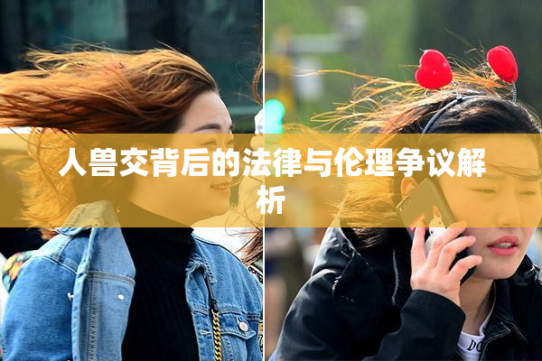 人兽交背后的法律与伦理争议解析