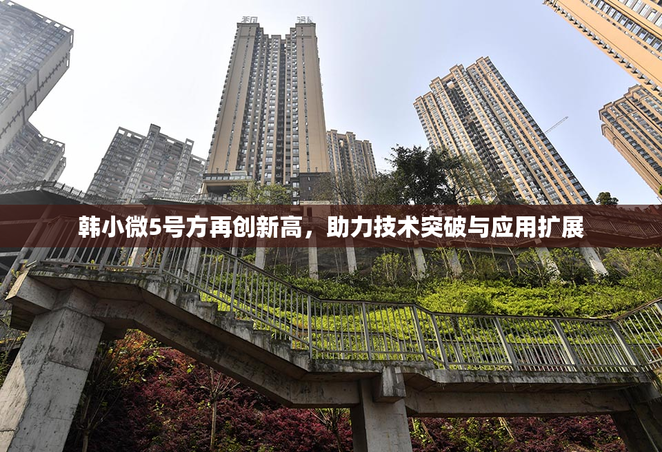 韩小微5号方再创新高，助力技术突破与应用扩展