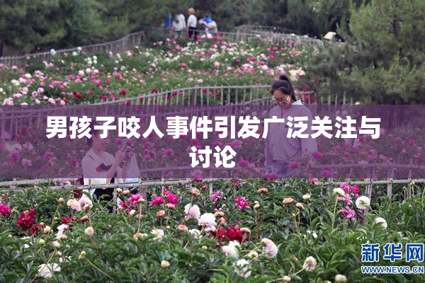 男孩子咬人事件引发广泛关注与讨论
