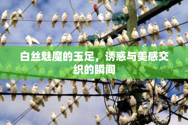 白丝魅魔的玉足，诱惑与美感交织的瞬间