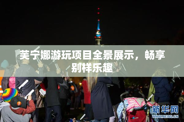 芙宁娜游玩项目全景展示，畅享别样乐趣