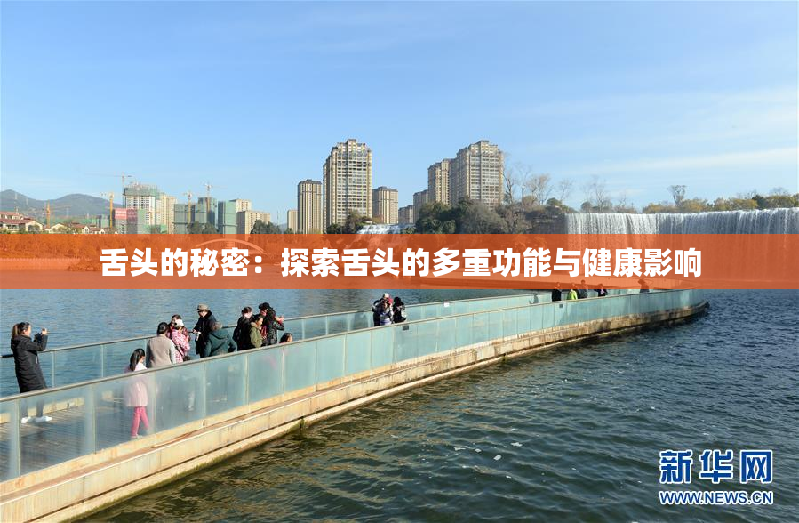 舌头的秘密：探索舌头的多重功能与健康影响
