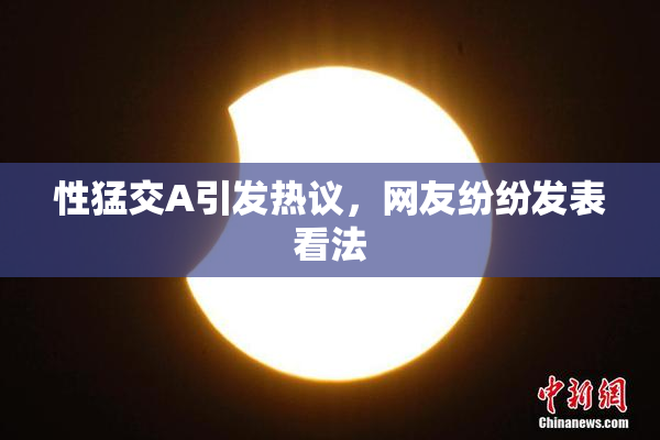性猛交A引发热议，网友纷纷发表看法
