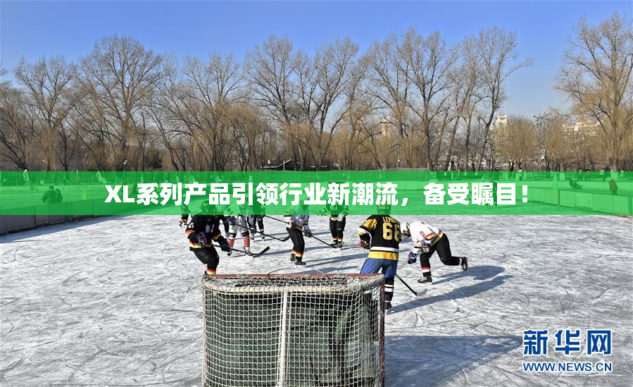 XL系列产品引领行业新潮流，备受瞩目！