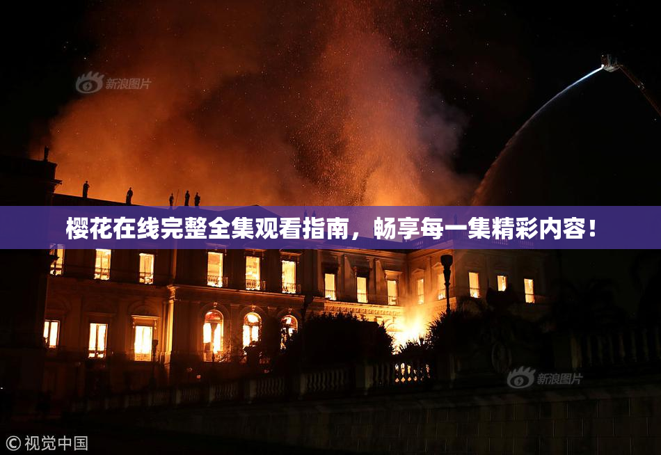 樱花在线完整全集观看指南，畅享每一集精彩内容！