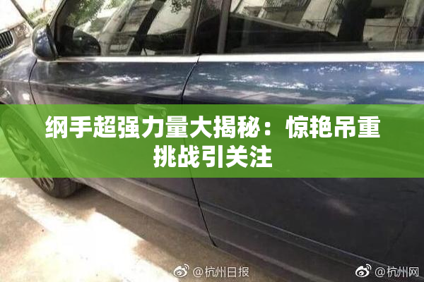 纲手超强力量大揭秘：惊艳吊重挑战引关注