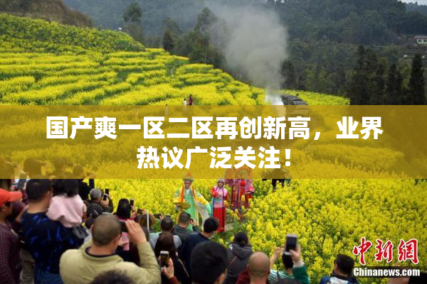 国产爽一区二区再创新高，业界热议广泛关注！