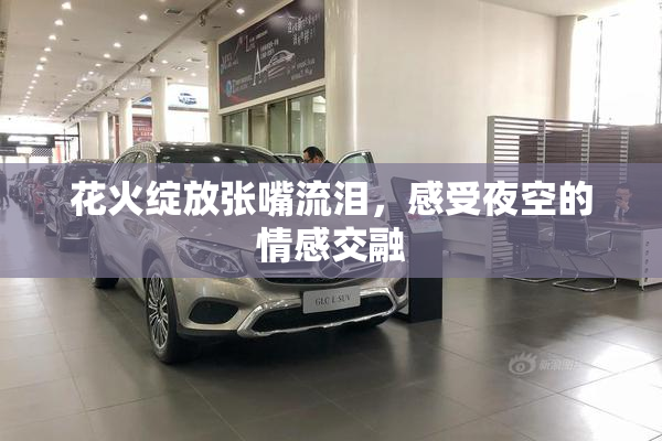 花火绽放张嘴流泪，感受夜空的情感交融