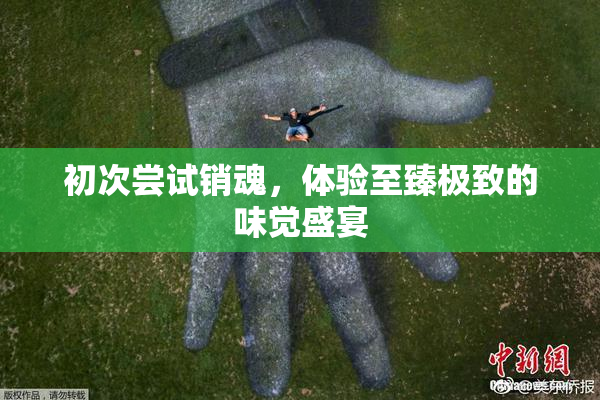 初次尝试销魂，体验至臻极致的味觉盛宴
