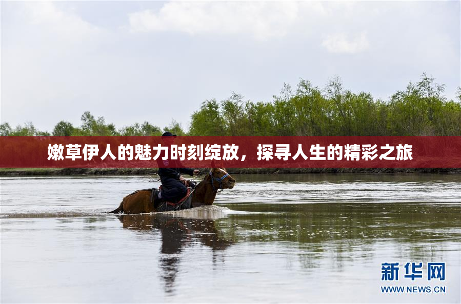 嫩草伊人的魅力时刻绽放，探寻人生的精彩之旅