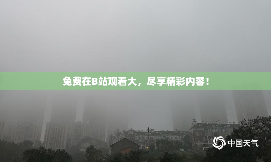 免费在B站观看大，尽享精彩内容！