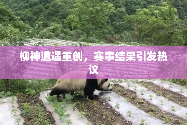 柳神遭遇重创，赛事结果引发热议