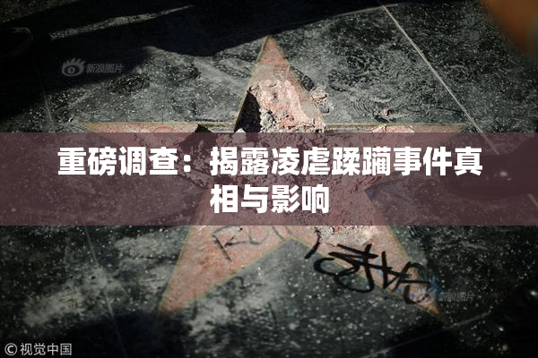 重磅调查：揭露凌虐蹂躏事件真相与影响