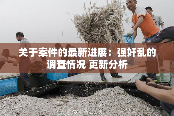关于案件的最新进展：强奸乱的调查情况 更新分析