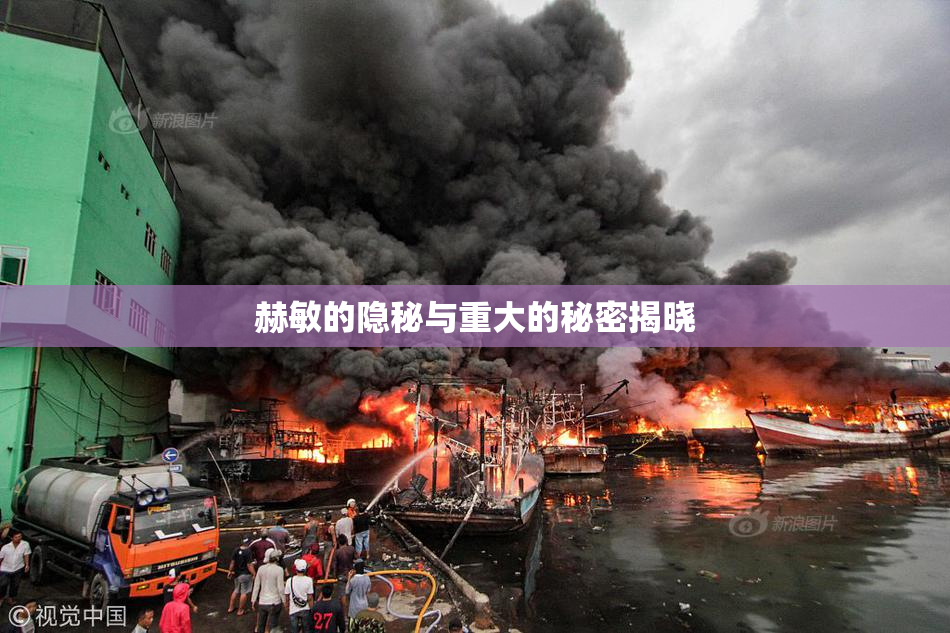 赫敏的隐秘与重大的秘密揭晓