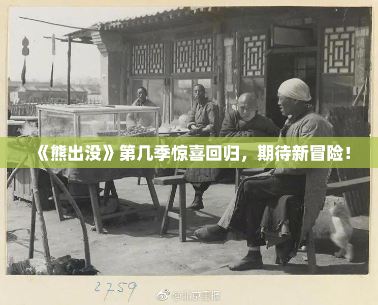 《熊出没》第几季惊喜回归，期待新冒险！