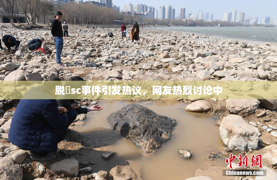 脱糞sc事件引发热议，网友热烈讨论中