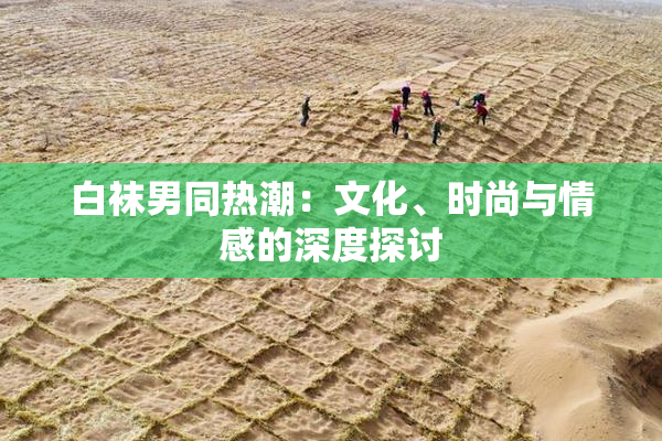 白袜男同热潮：文化、时尚与情感的深度探讨