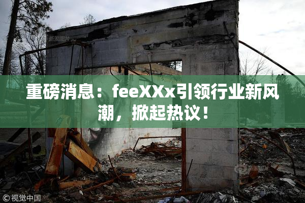 重磅消息：feeXXx引领行业新风潮，掀起热议！