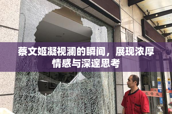 蔡文姬凝视澜的瞬间，展现浓厚情感与深邃思考