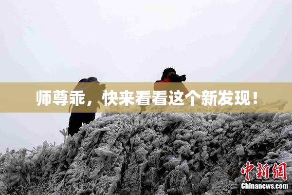 师尊乖，快来看看这个新发现！