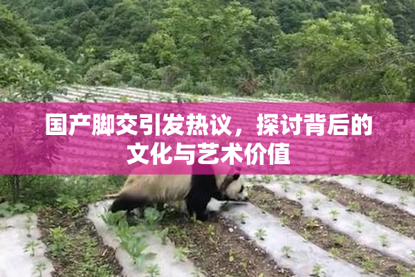 国产脚交引发热议，探讨背后的文化与艺术价值