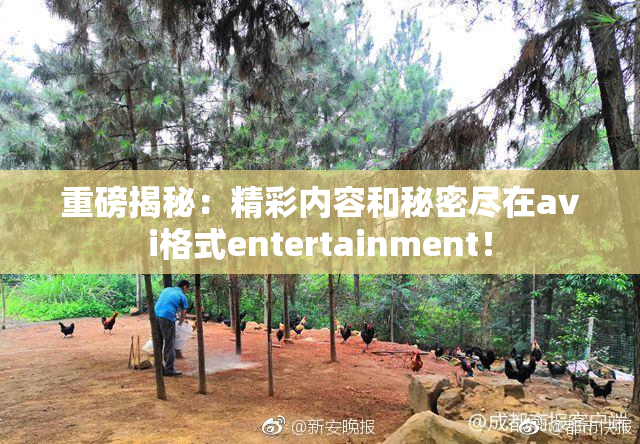 重磅揭秘：精彩内容和秘密尽在avi格式entertainment！