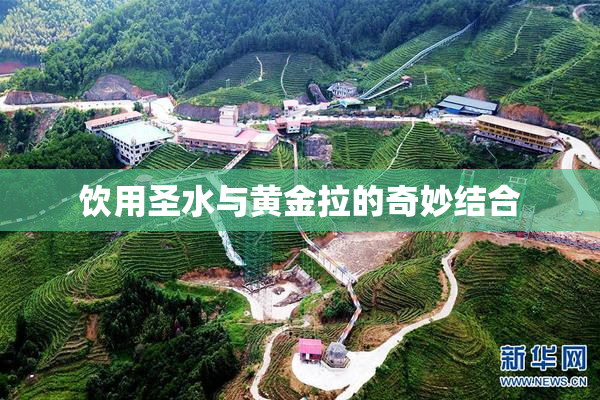 饮用圣水与黄金拉的奇妙结合