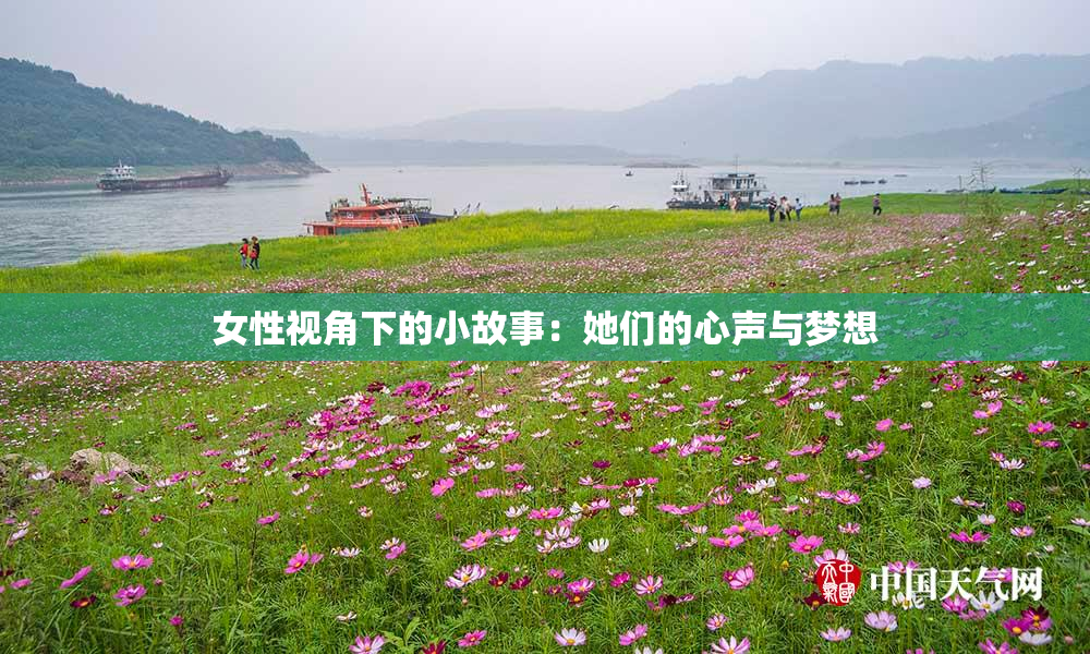 女性视角下的小故事：她们的心声与梦想