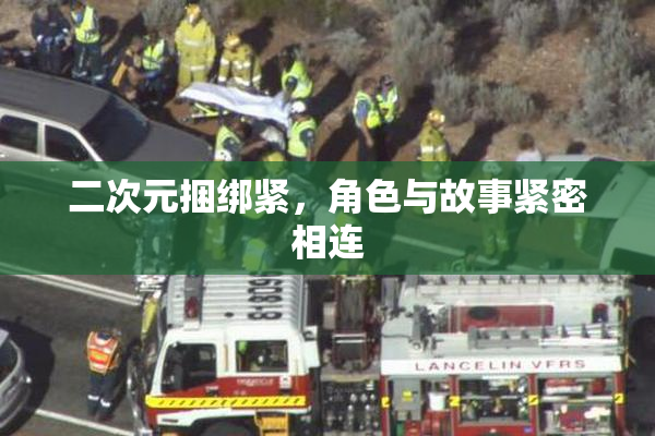 二次元捆绑紧，角色与故事紧密相连