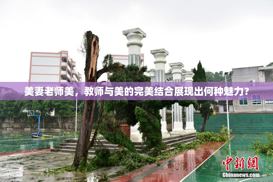 美妻老师美，教师与美的完美结合展现出何种魅力？