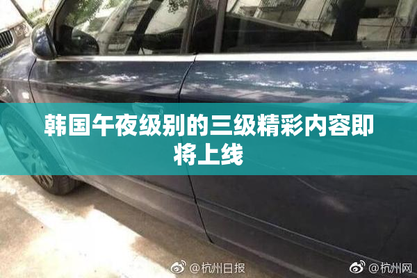 韩国午夜级别的三级精彩内容即将上线