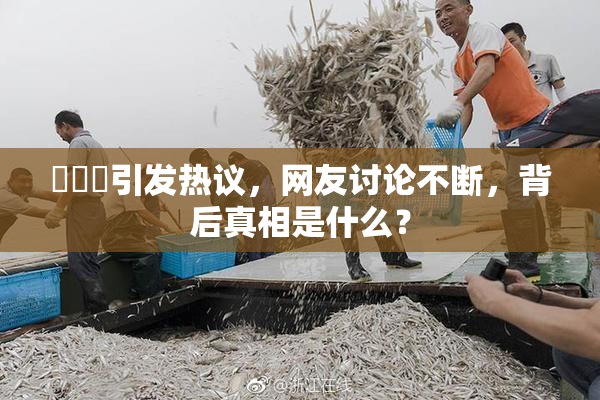 逹葢薾引发热议，网友讨论不断，背后真相是什么？