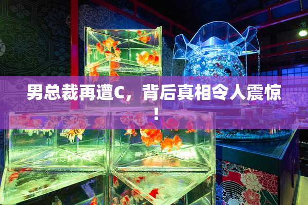 男总裁再遭C，背后真相令人震惊！