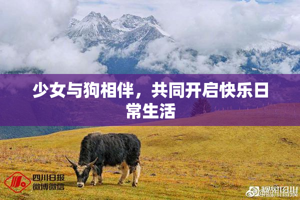 少女与狗相伴，共同开启快乐日常生活