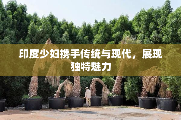 印度少妇携手传统与现代，展现独特魅力