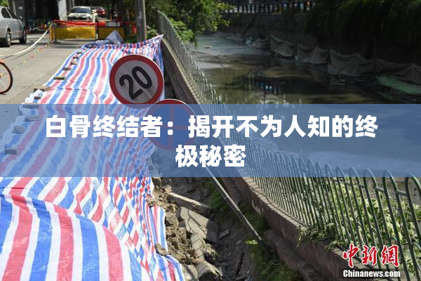 白骨终结者：揭开不为人知的终极秘密