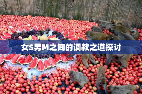 女S男M之间的调教之道探讨