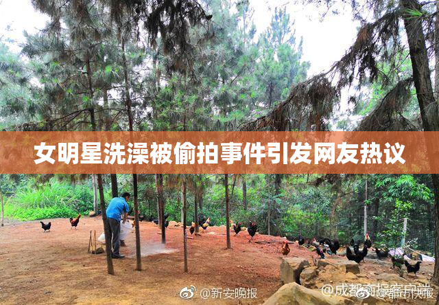 女明星洗澡被偷拍事件引发网友热议
