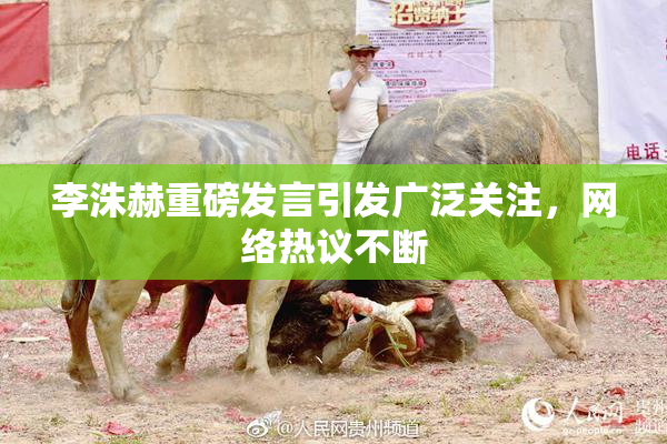 李洙赫重磅发言引发广泛关注，网络热议不断